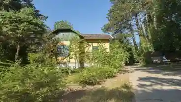 Godolloi Arboretum 1