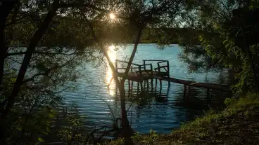 Gomba Felsofarkasdi Horgaszto 1