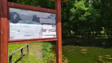 Gomba Termeszetismereti Tanosveny 1