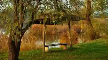 Gyal Peremvarosi Horgaszto Es Pihenopark 1