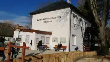 Gyenesdias Diasi Malom 1