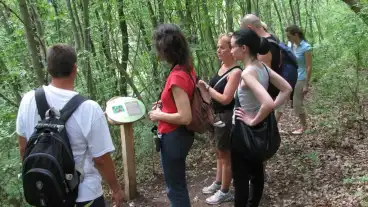 Gyenesdias Dolomit Tanosveny