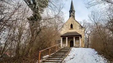 Gyermely Sandor Metternich Sirkapolna 1