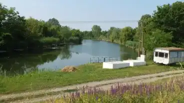 Gyomaendrod Danzugi Holtag 1