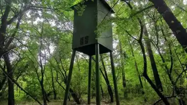 Gyomaendrod Deneverodu