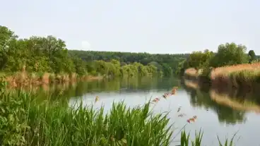 Gyomaendrod Felhalmi Holtag 1