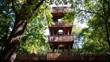 Gyomaendrod Lombkorona Tanosveny 1