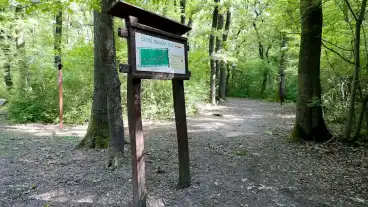 Gyor Puspokerdei Tanosveny