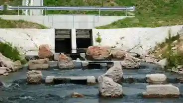 Gyorzamoly Hallepcso