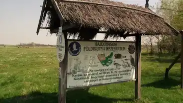Hajdubagos Foldikutya Rezervatum