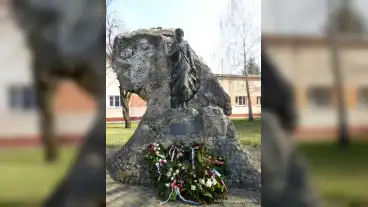 Hajdusamson Petofi Faja