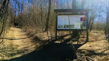 Halom Hegyi Vulkan Tanosveny 01