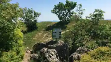 Haraszt Hegyi Tanosveny 07