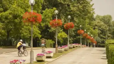 Harkany Zsigmondy Setany