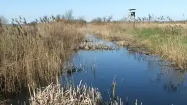 Harkatokony Harka To Tanosveny