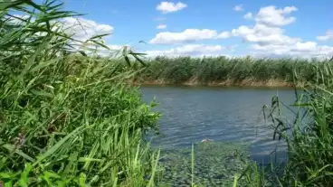 Harta Fuzvolgyi Ontozo Focsatorna