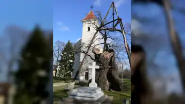 Hedervar Arpad Fa 01