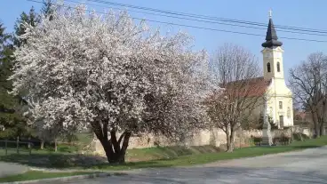 Hedervar Katolikus Templom