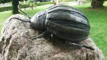 Hedervar Krumplibogar Szobor