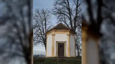 Hedervar Peregrinus Kapolna