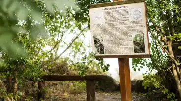 Hegyesd Varhegy Tanosveny