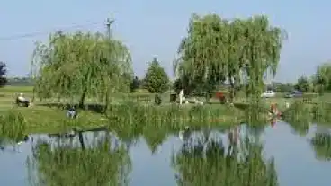 Hegyeshalom Stettni To