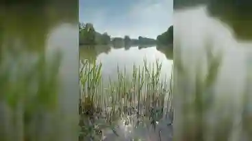 Hegyko Kavicsbanya To