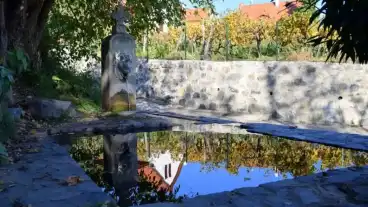 Hegymagas Oroszlanfeju Kut