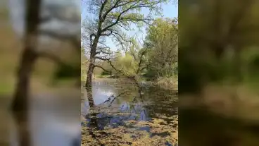 Hencida Csere Erdo 01