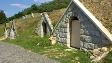 Hercegkut Gomboshegy Pincesor 1