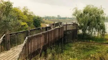 Hodmezovasarhely Teglagyari Tanosveny 01