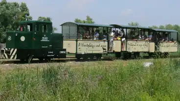 Hortobagy Halastavi Kisvasut 1