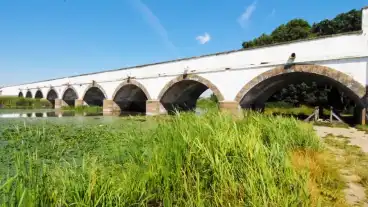 Hortobagy Kilenclyukuhid