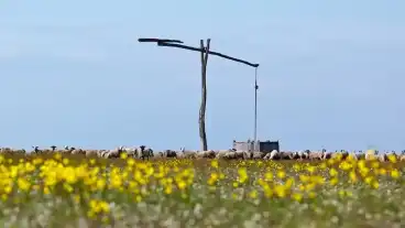 Hortobagy Nemzeti Park 1