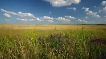 Hortobagyi Malomhazi Tanosveny 1