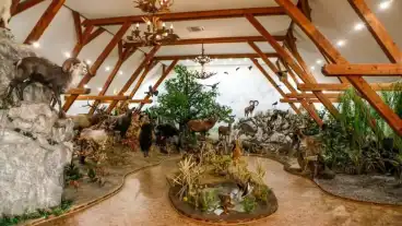 Hunor Vadaszati Kiallitas 1