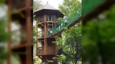 Ipolytarnoc Tuzson Lombkorona Setany