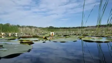 Izsak Bikatorok Tanosveny 1