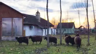 Janoshalma Skanzen 1