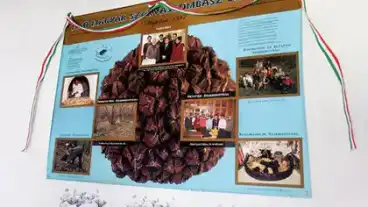 Jasszentandras Szarvasgomba Muzeum