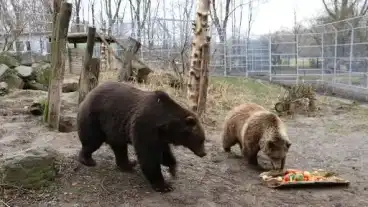 Jaszberenyi Allatkert 1