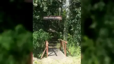 Jaszkarajeno Csonka Marton Tanosveny