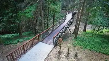 Kam Lombkorona Setany 1