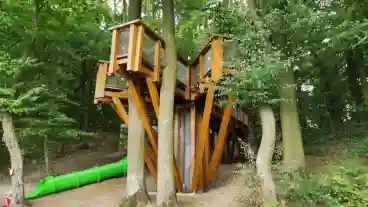 Kaposvar Deseda Lombkorona Setany 01