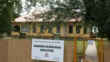 Kapuvar Hansag Vilaga Kiallitas