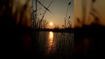 Katymari Batinkov To