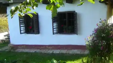 Kavas Borona Tanosveny