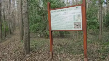 Kecel Erdeszeti Tanosveny