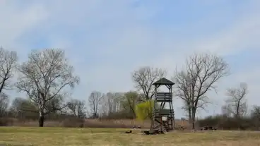 Kecel Mehesfok Kilato