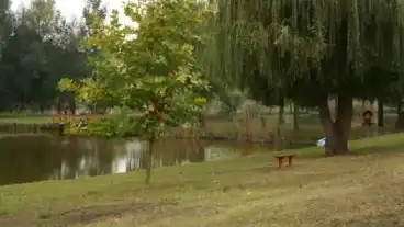 Kecel Natura Tanosveny